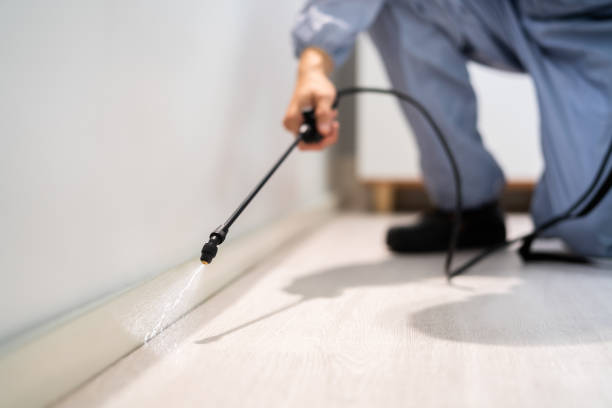 Licensed Pest Control service in Dundee, MI - Show Me Pest Control